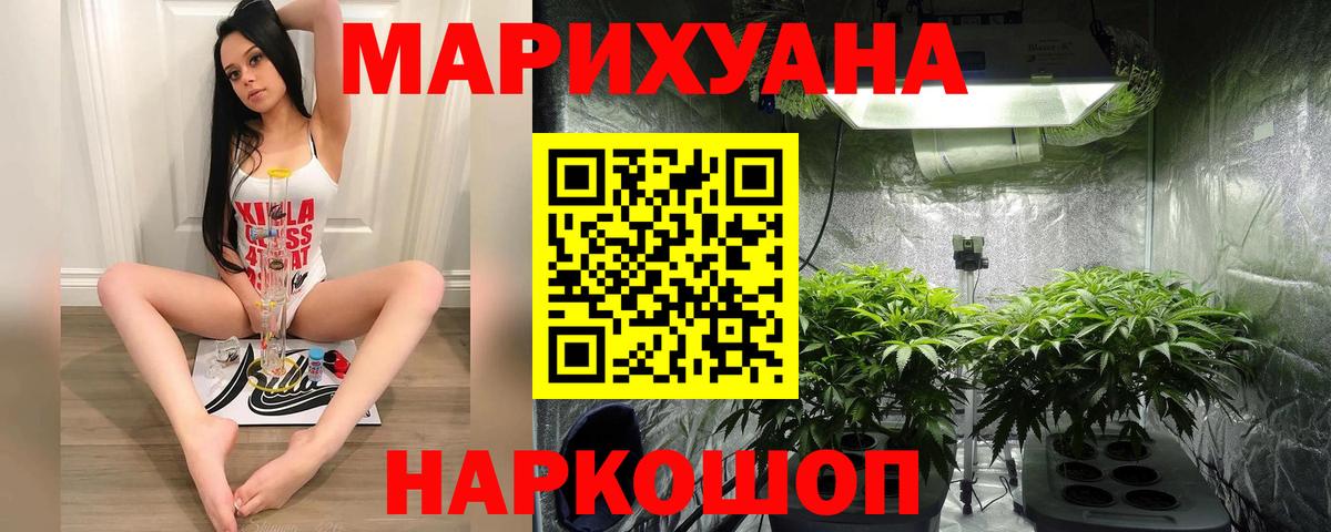 Бошки Шишки ГИДРОПОН Киселёвск