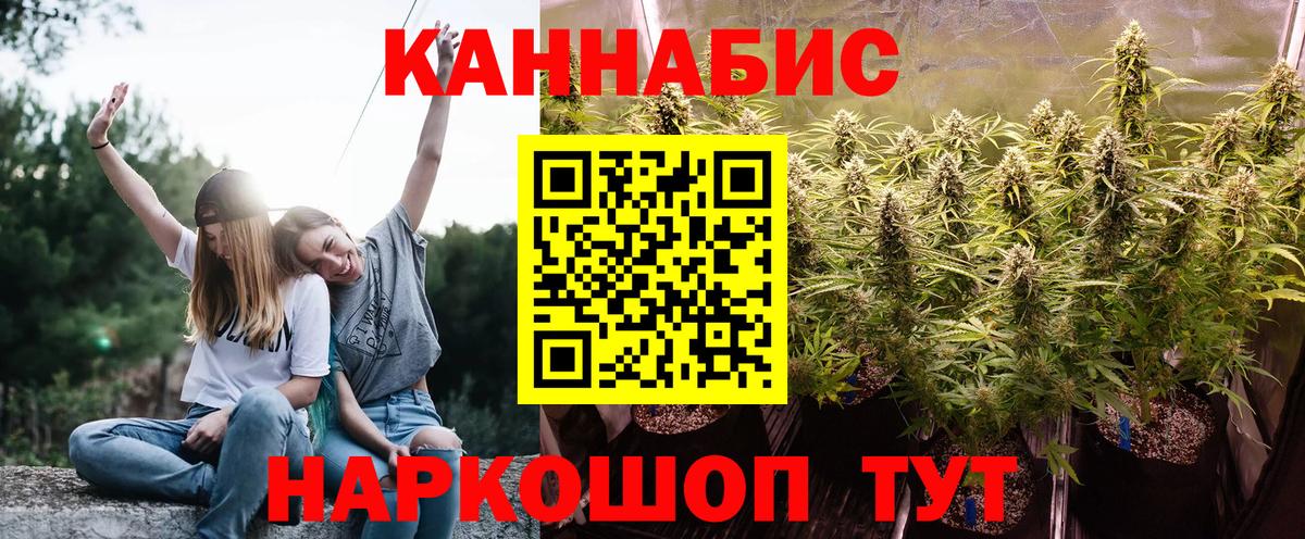 Бошки марихуана гибрид  Вход с VPN  Шишки марихуана тримм  МАРИХУАНА марихуана  Киселёвск 
